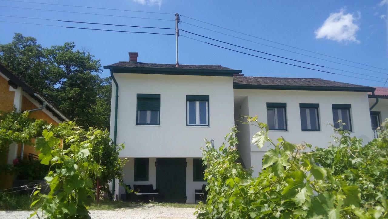 Ferienhaus Szapary II Eisenberg an der Pinka Εξωτερικό φωτογραφία