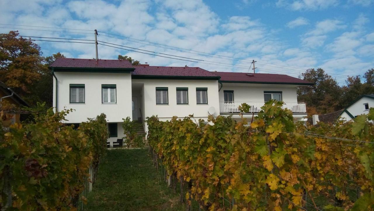 Ferienhaus Szapary II Eisenberg an der Pinka Εξωτερικό φωτογραφία